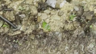 Stoner Guy with Tiny Dick Pissing Outdoors [POV]